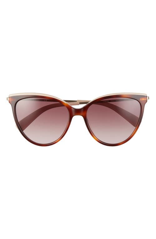 LONGCHAMP LONGCHAMP 55MM GRADIENT CAT EYE SUNGLASSES