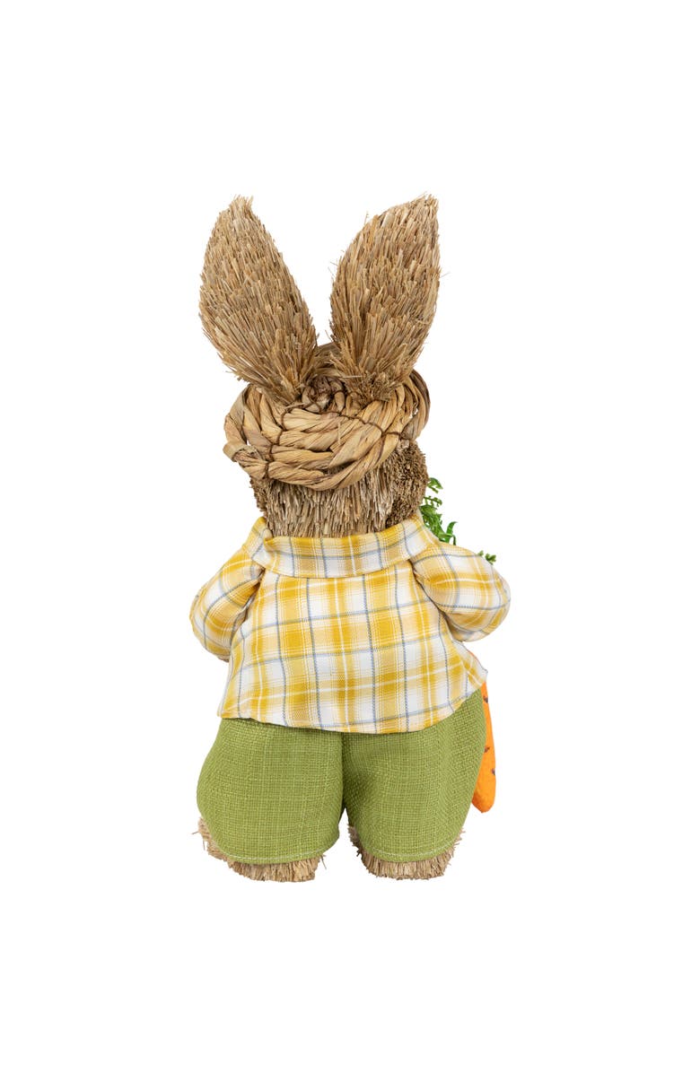 Northlight Rustic Boy Rabbit with Carrot Standing Easter Figure - 13.75" - Brown and Yellow, Alternate, color, Brown