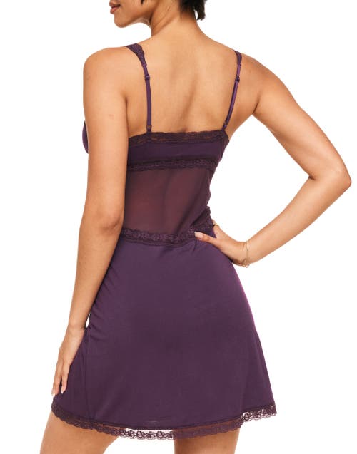 Shop Adore Me Primrosie Slip In Dark Purple