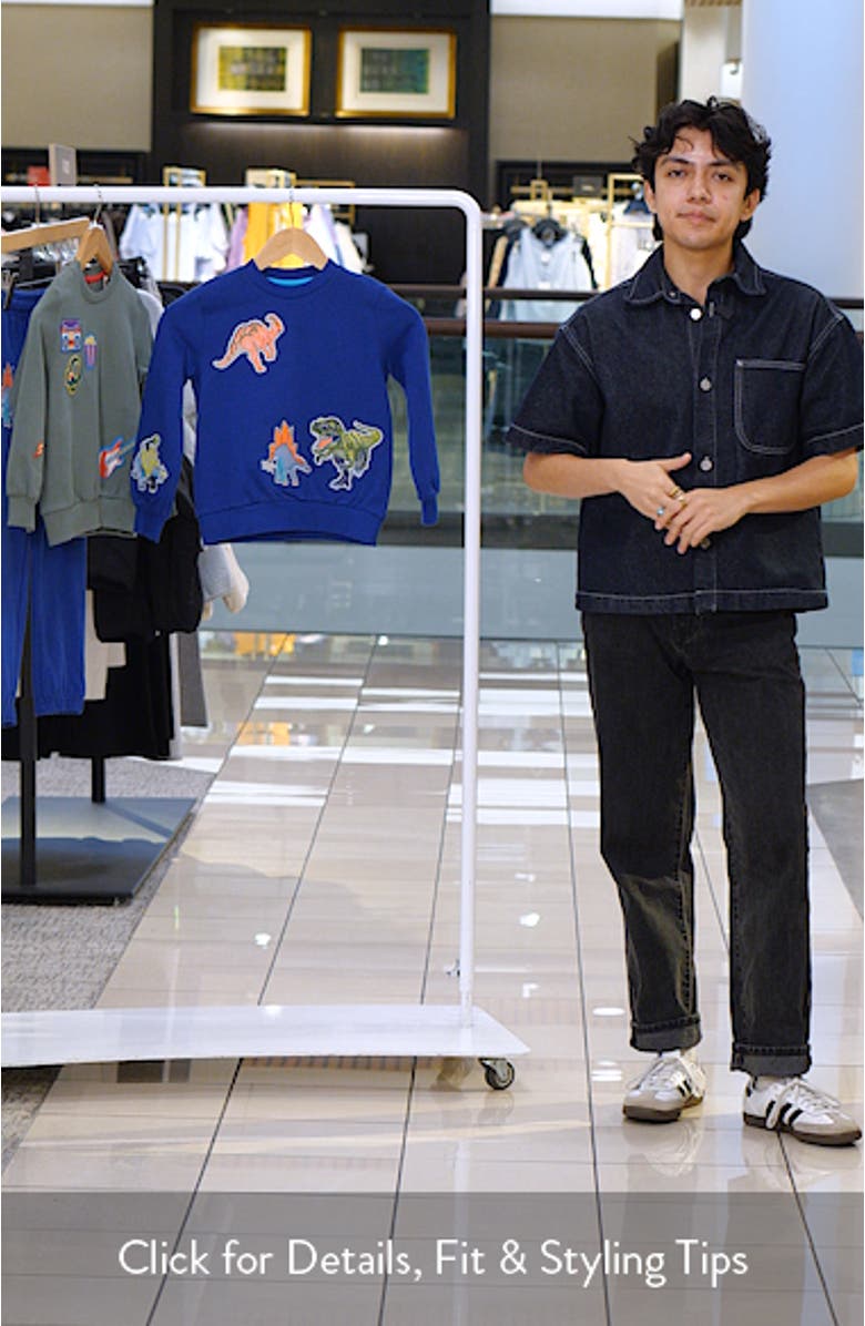 Kids' Dino Appliqué Cotton Graphic Sweathirt, sales video thumbnail