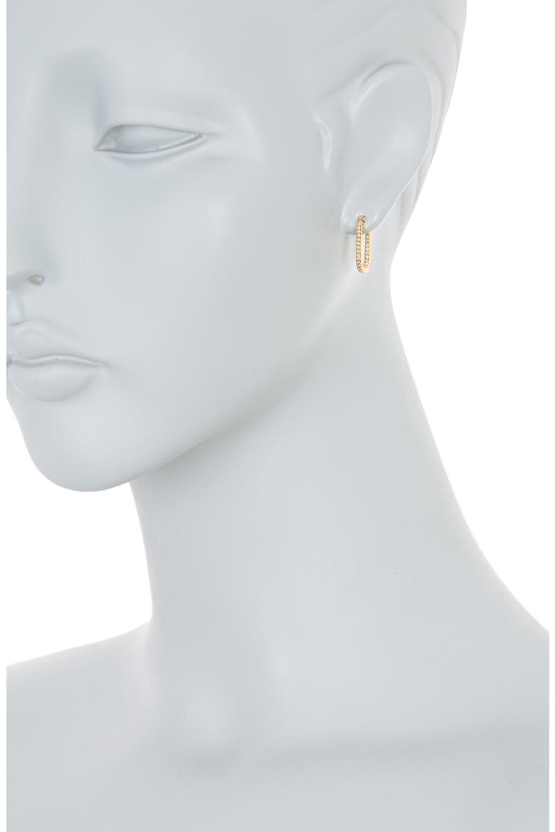 Oval Rope Hoop Earrings, Alternate, color, GOLD