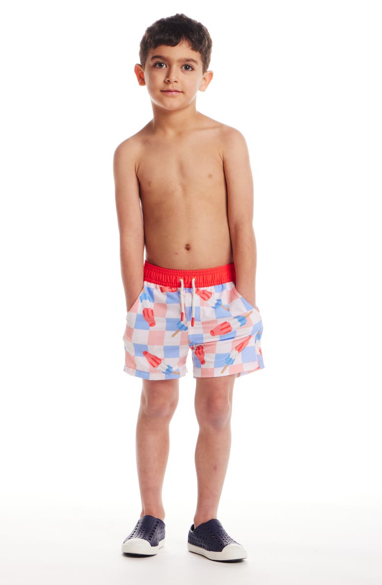 Andy & Evan Kids' Print Swim Trunks, Alternate, color, Ice Pop