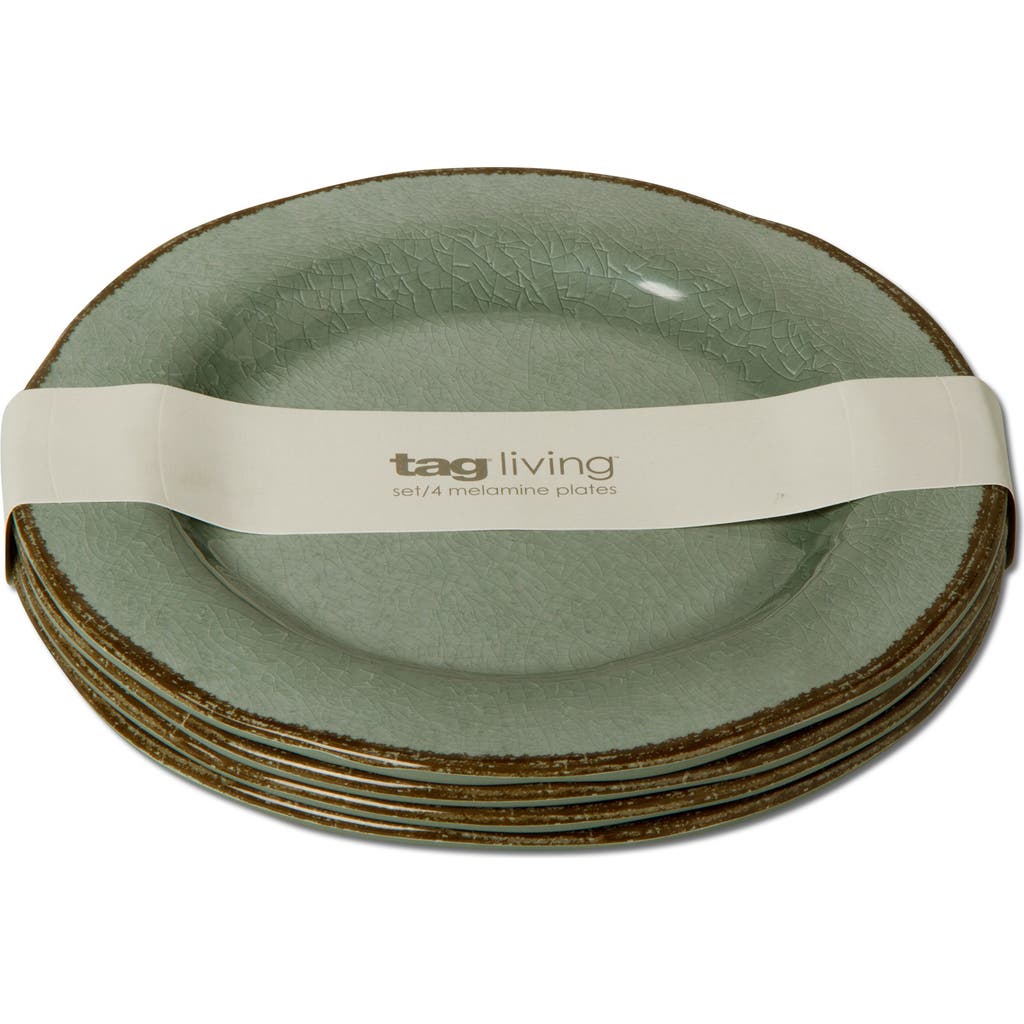 Tag Veranda Melamine Salad Plates Set Of Four Slate Blue Dining In Green