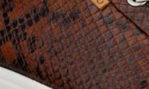 Ecco Soft 7 Sneaker In Brown