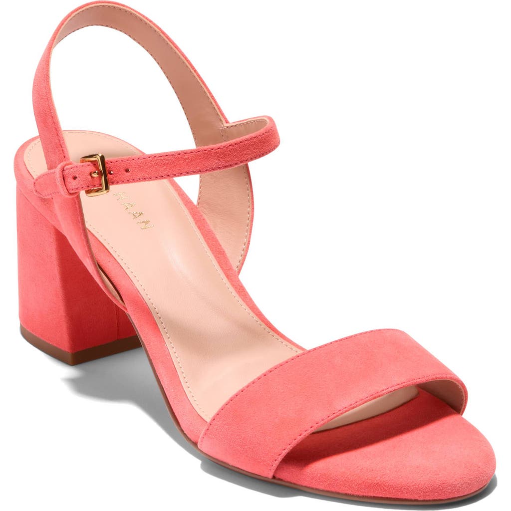 Cole Haan Josie Block Heel Sandal In Dubarry Suede