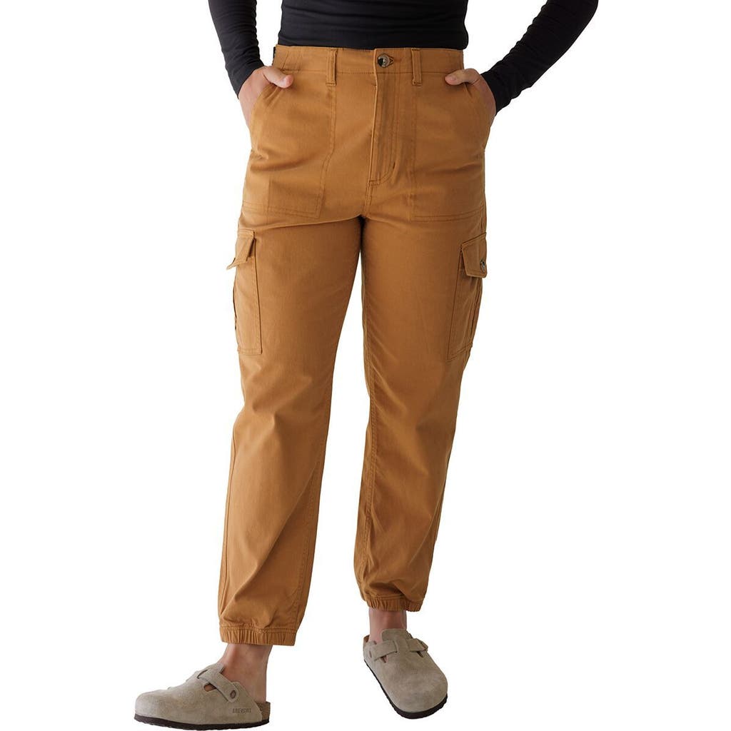 Kavu Sutton Jogger Pant In Brown