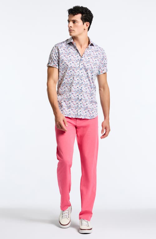 Robert Graham Board Bash Short Sleeve Stretch Cotton Button-up Shirt In White Multi