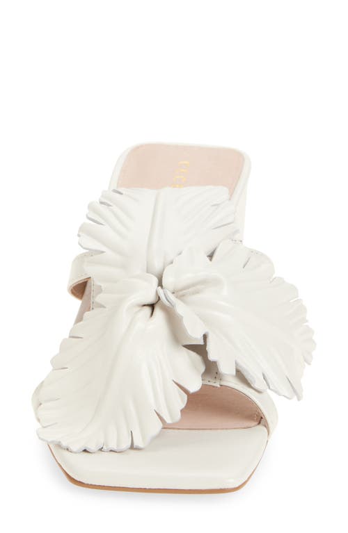 Cecelia New York Happy Leather Sandal In Alabaster