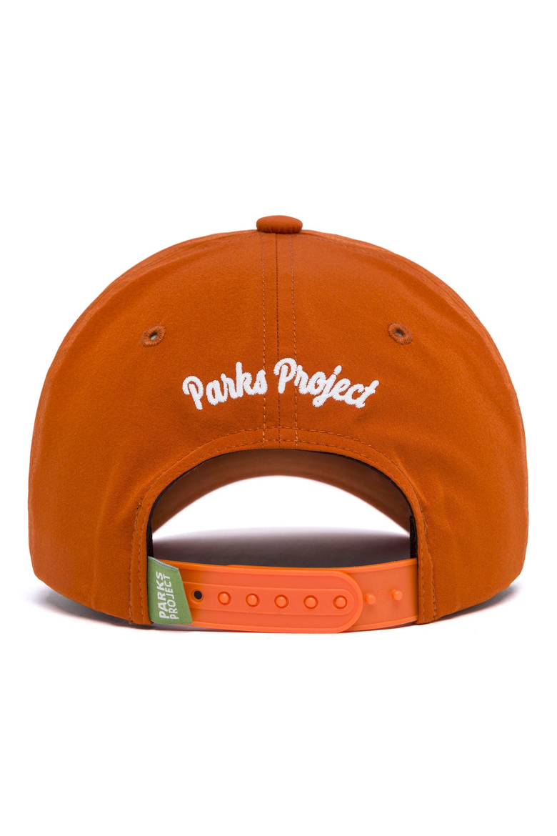 Austin Daytrippin Throwback Hat, Alternate, color, Burnt Orange