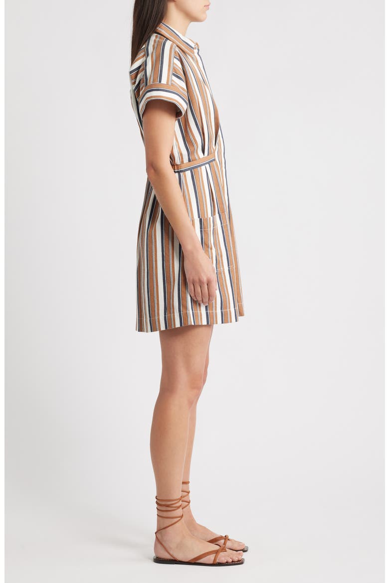 Sable Stripe Shirtdress, Alternate, color, GIATTA STRIPE