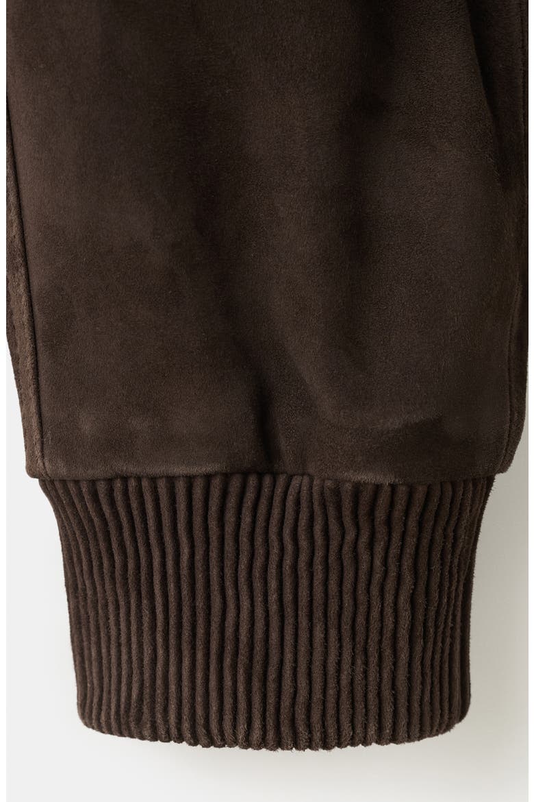 Suede Jacket, Alternate, color, BROWN