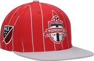 Mitchell & Ness Men's Mitchell & Ness Red Toronto FC Team Pin Snapback Hat