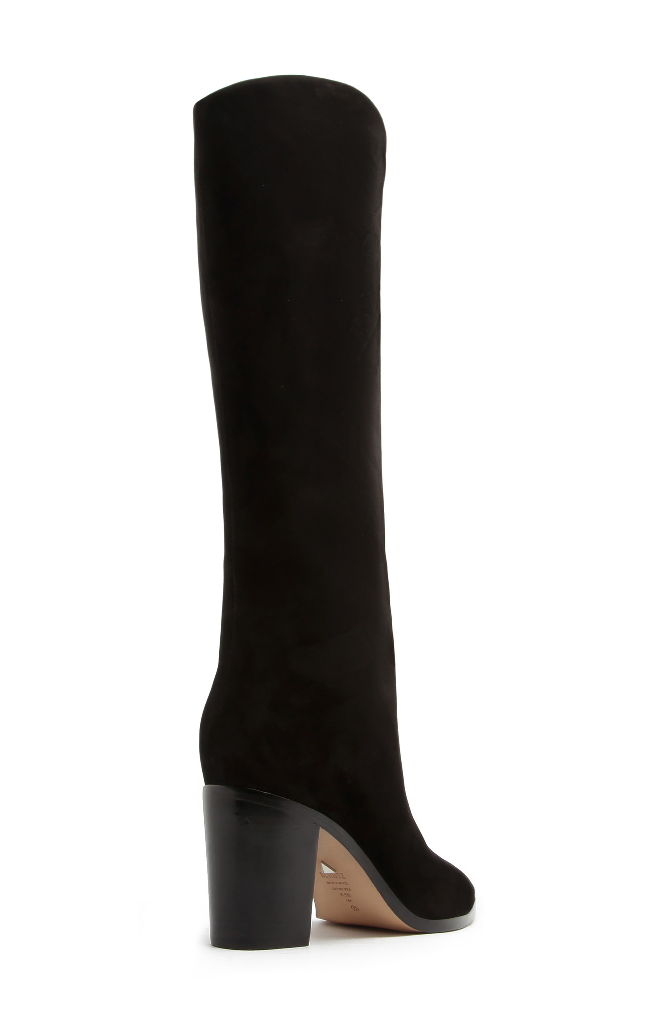 Schutz Maryana Pointed Toe Block Heel Knee High Boot, Alternate, color, 