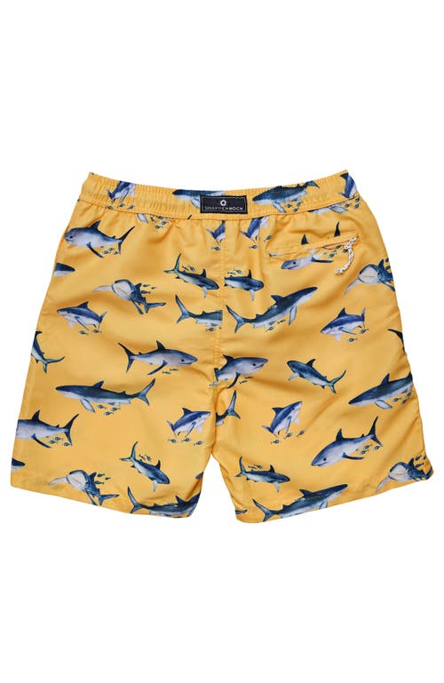 Snapper Rock Printed Swim Shorts In Orange