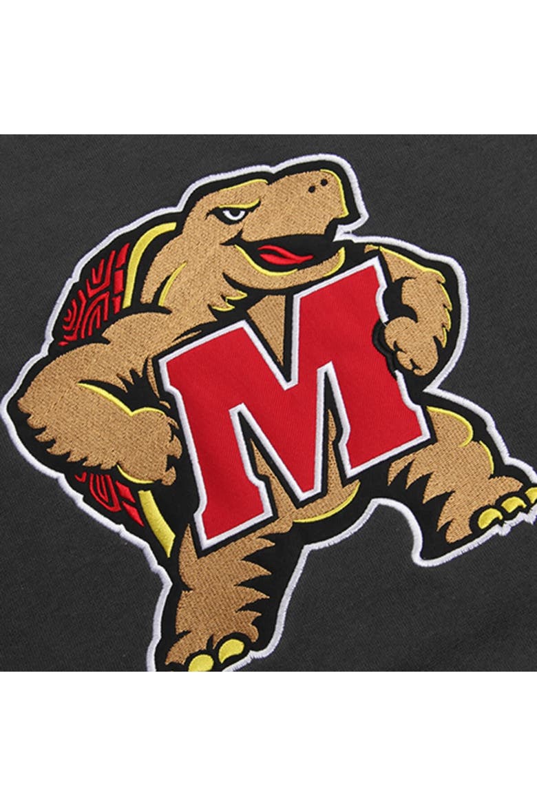 Youth Stadium Athletic Charcoal Maryland Terrapins Big Logo Pullover Hoodie, Alternate, color, Charcoal