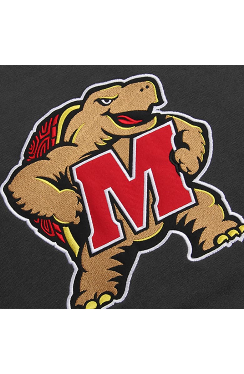 STADIUM ATHLETIC Youth Stadium Athletic Charcoal Maryland Terrapins Big Logo Pullover Hoodie, Alternate, color, 