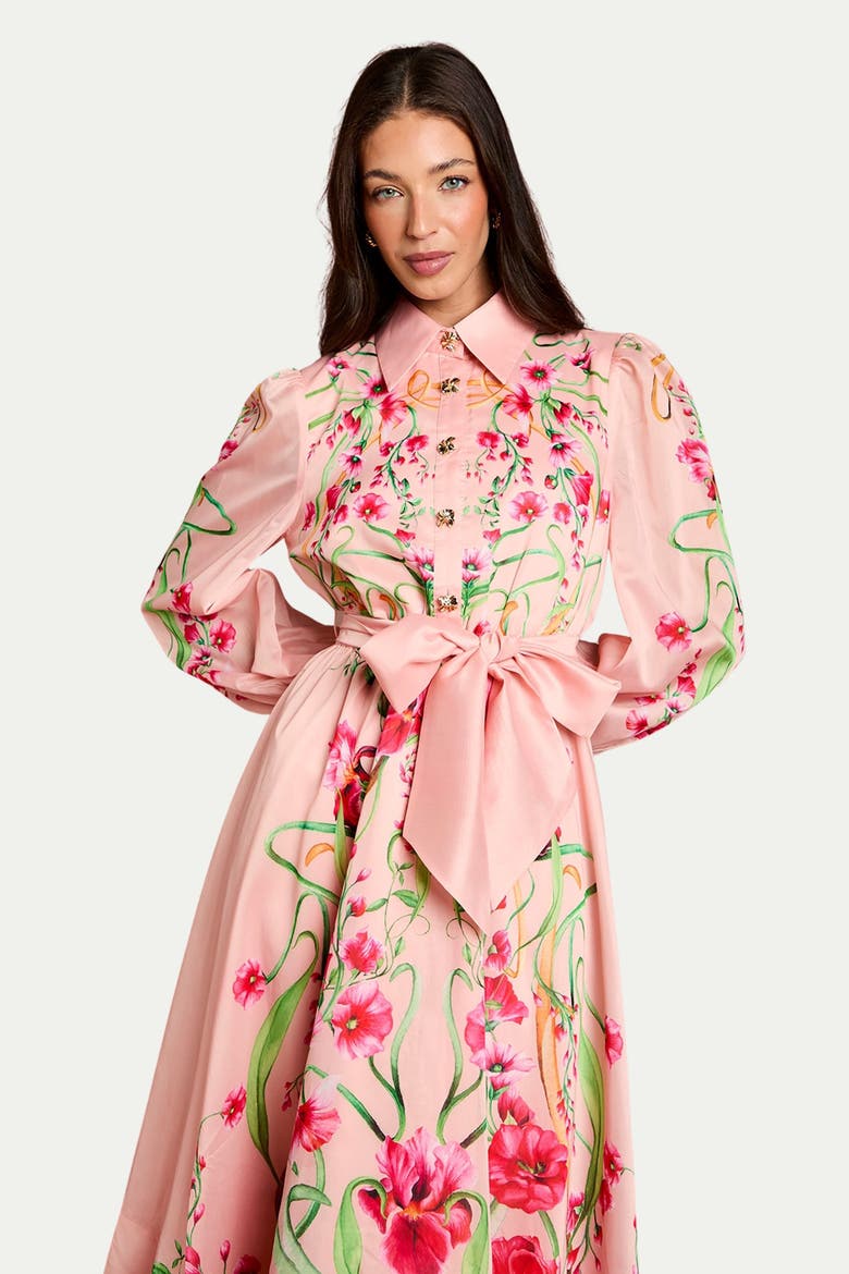 Border Print Organza Shirt Dress, Alternate, color, Blush