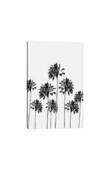 iCanvas Black White Palm Trees Finesse I by Anita's & Bella's Art Canvas Wall Art