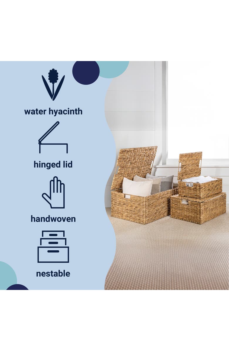 HAPPIMESS Brooks Classic Farmhouse Woven Hyacinth Rectangular Storage Baskets with Lids and Handles,, Alternate, color, Natural