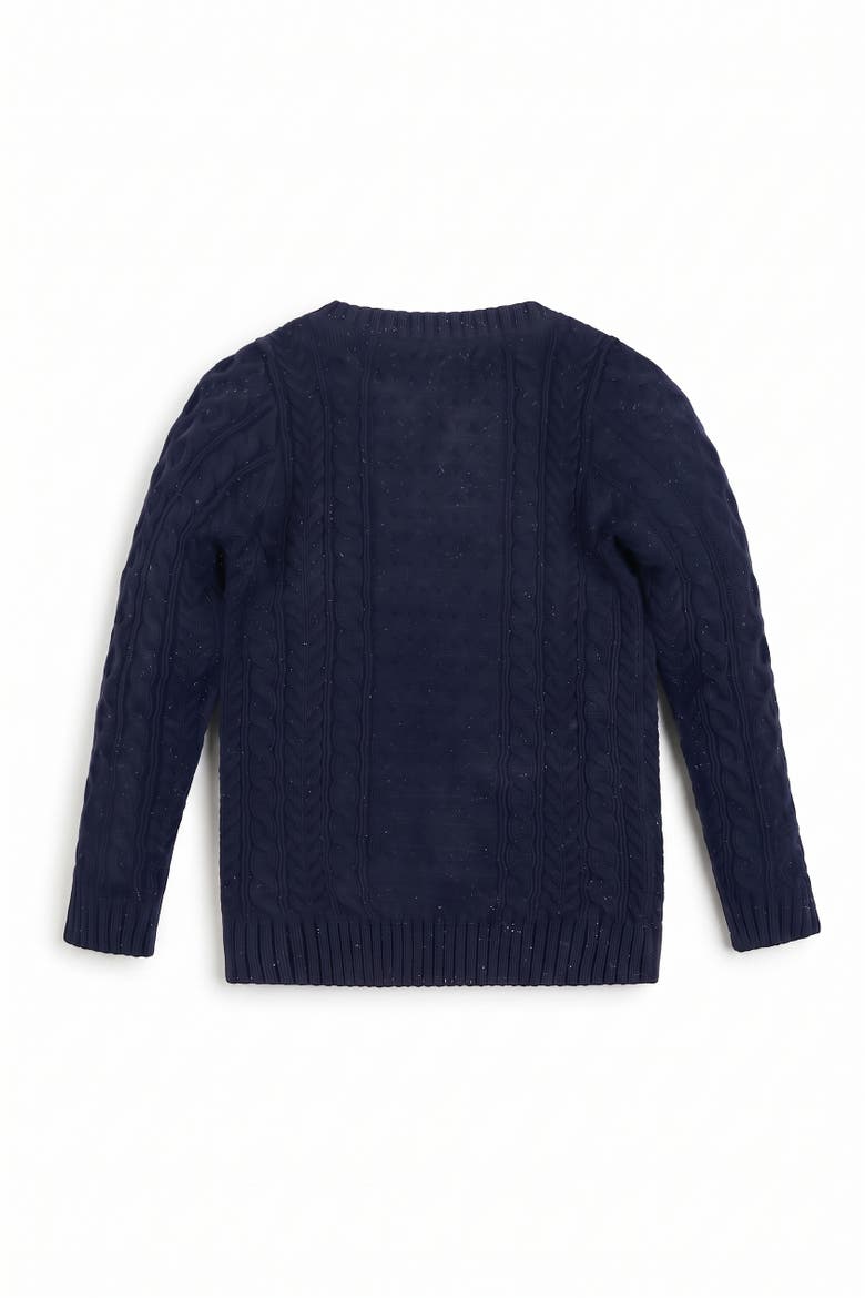 Kids' Organic Cotton Cable Knit Pullover Sweater, Alternate, color, Navy Fleck
