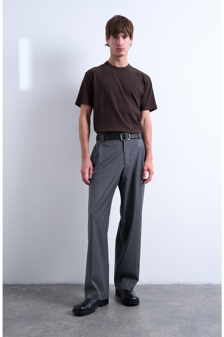 Heavyweight Rib T-Shirt, Alternate, color, BROWN