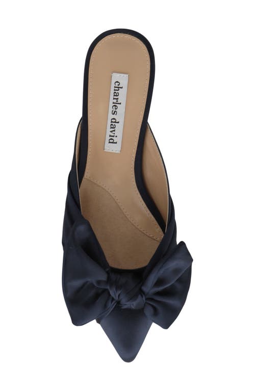 Charles David Alinda Pointed Toe Mule In Navy