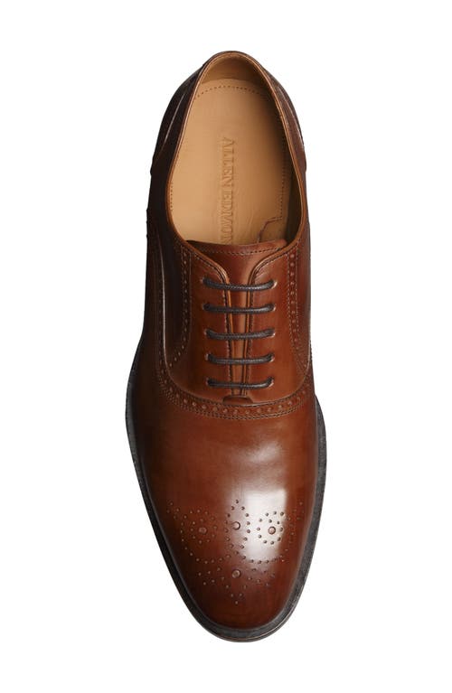 Allen Edmonds Siena Brogue Oxford In Chili