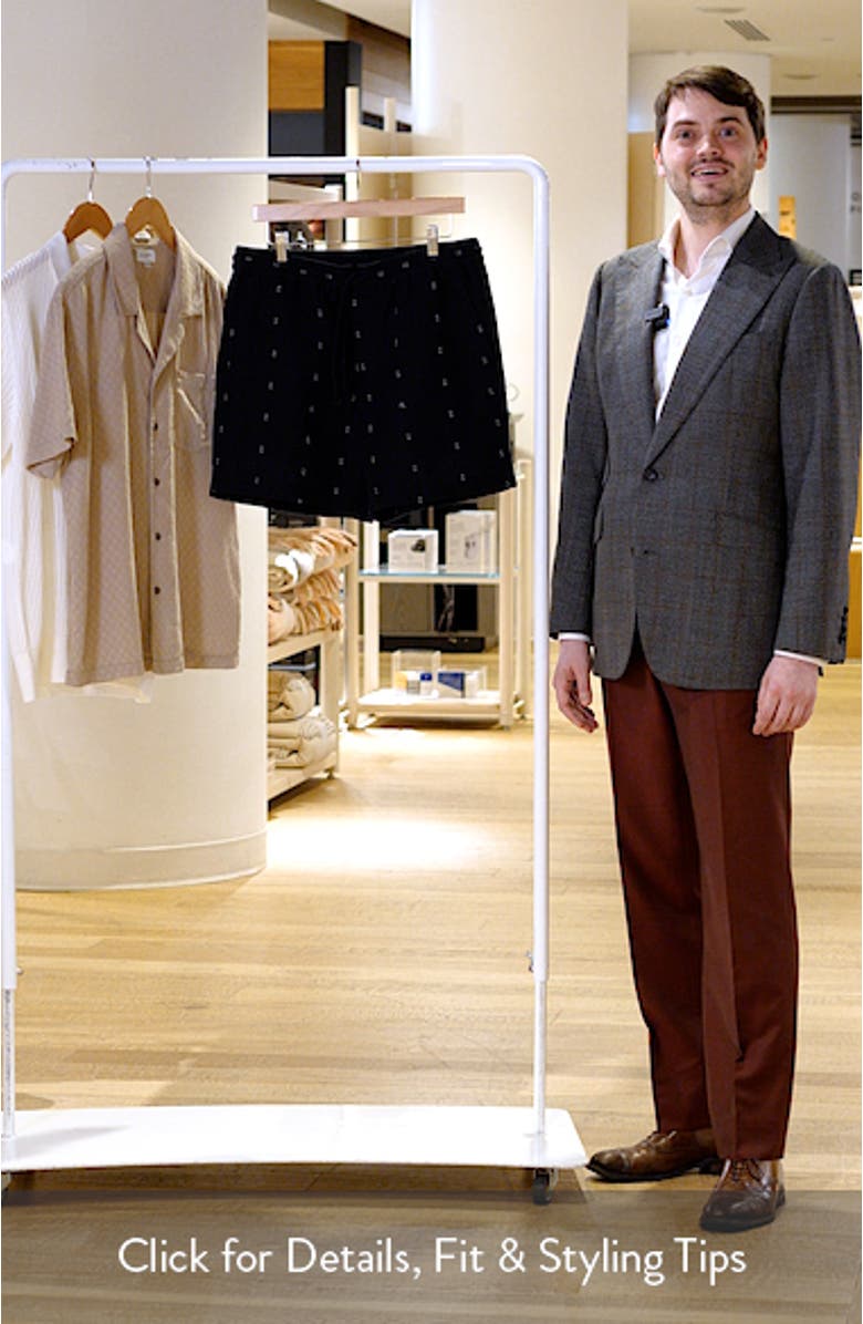 Marc Embroidered Cotton & Linen Drawstring Shorts, sales video thumbnail