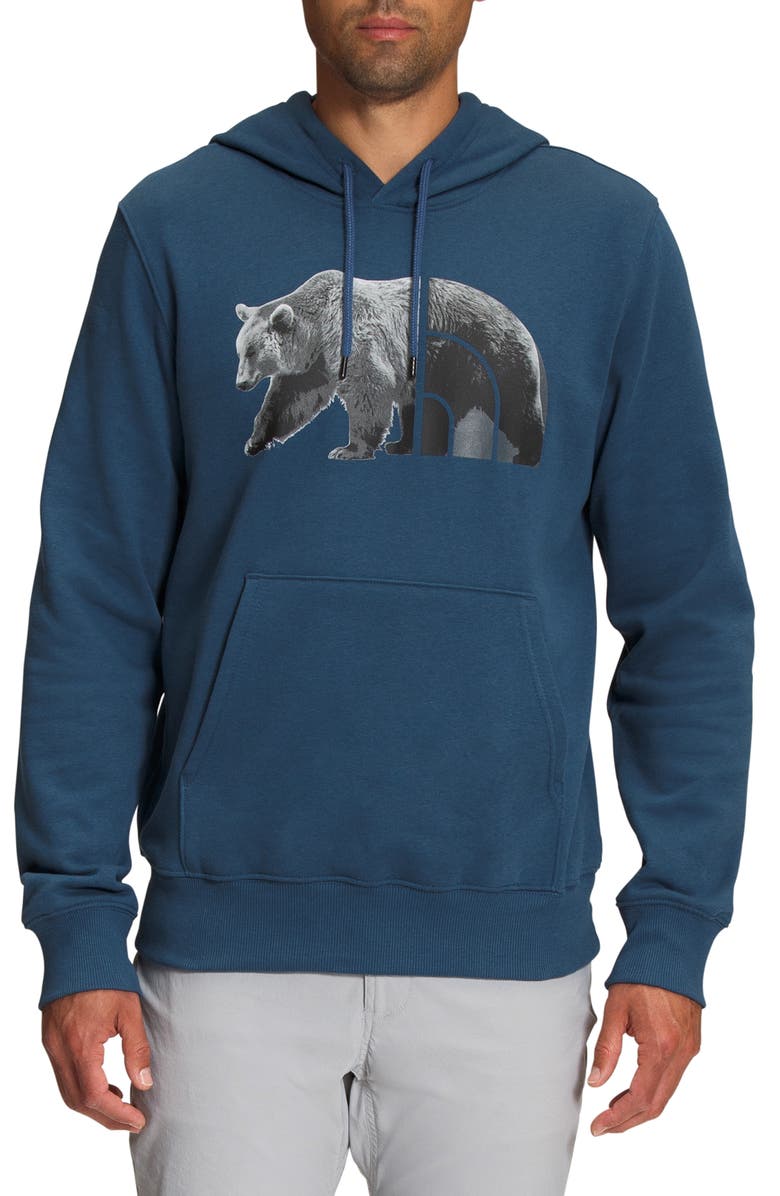 The North Face Bear Graphic Hoodie Sweatshirt, Main, color,