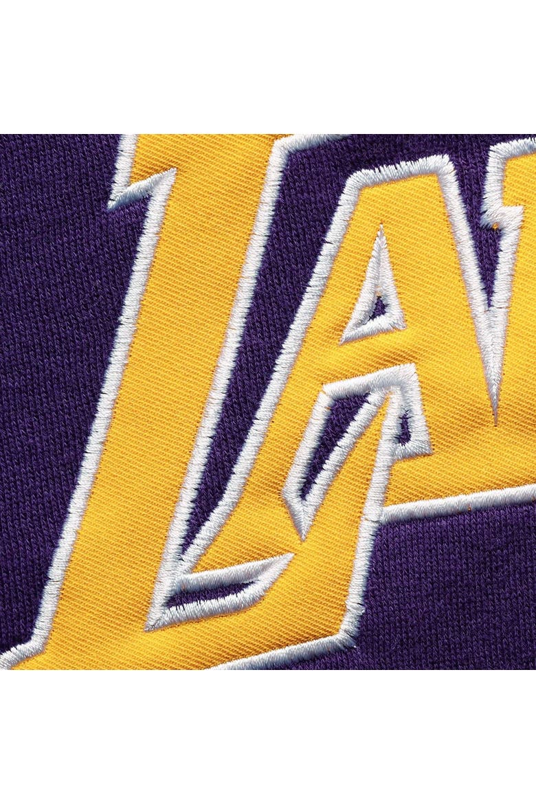 Men's Fanatics Branded Purple/Gold Los Angeles Lakers Big & Tall Double Contrast Pullover Hoodie, Alternate, color, Purple