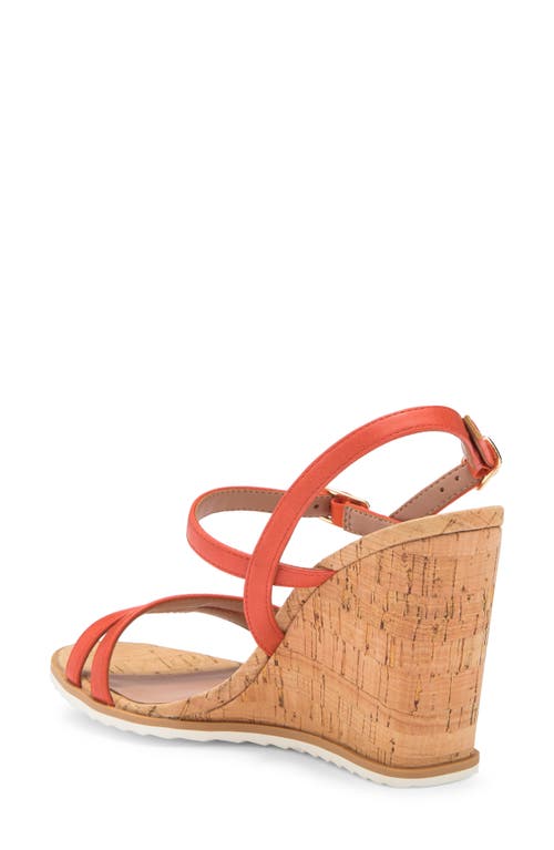 Linea Paolo Esme Wedge Sandal