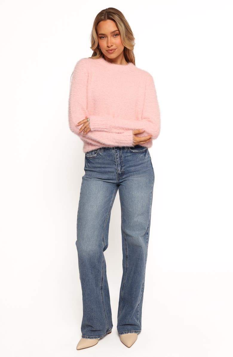 Petal & Pup Aspra Fuzzy Crewneck Sweater, Alternate, color, Pink