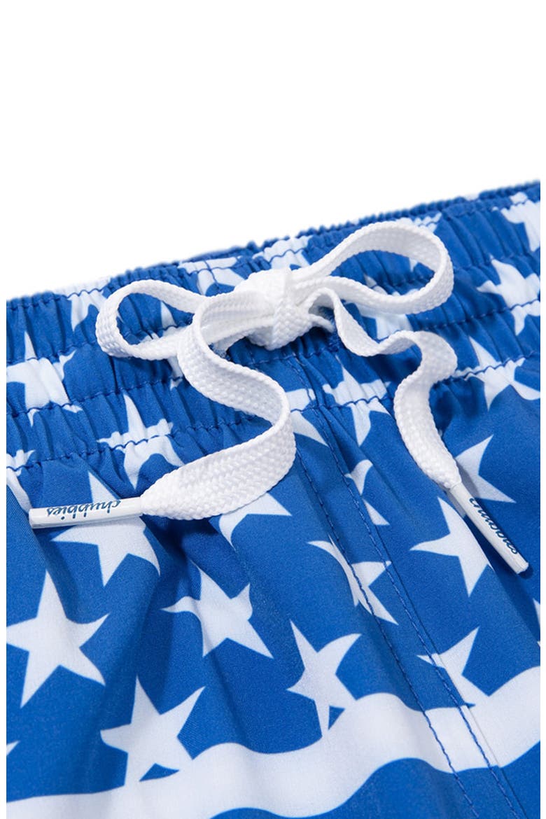 The Backyard BBQs 5.5-Inch Swim Trunks, Alternate, color, MEDIUM BLUE
