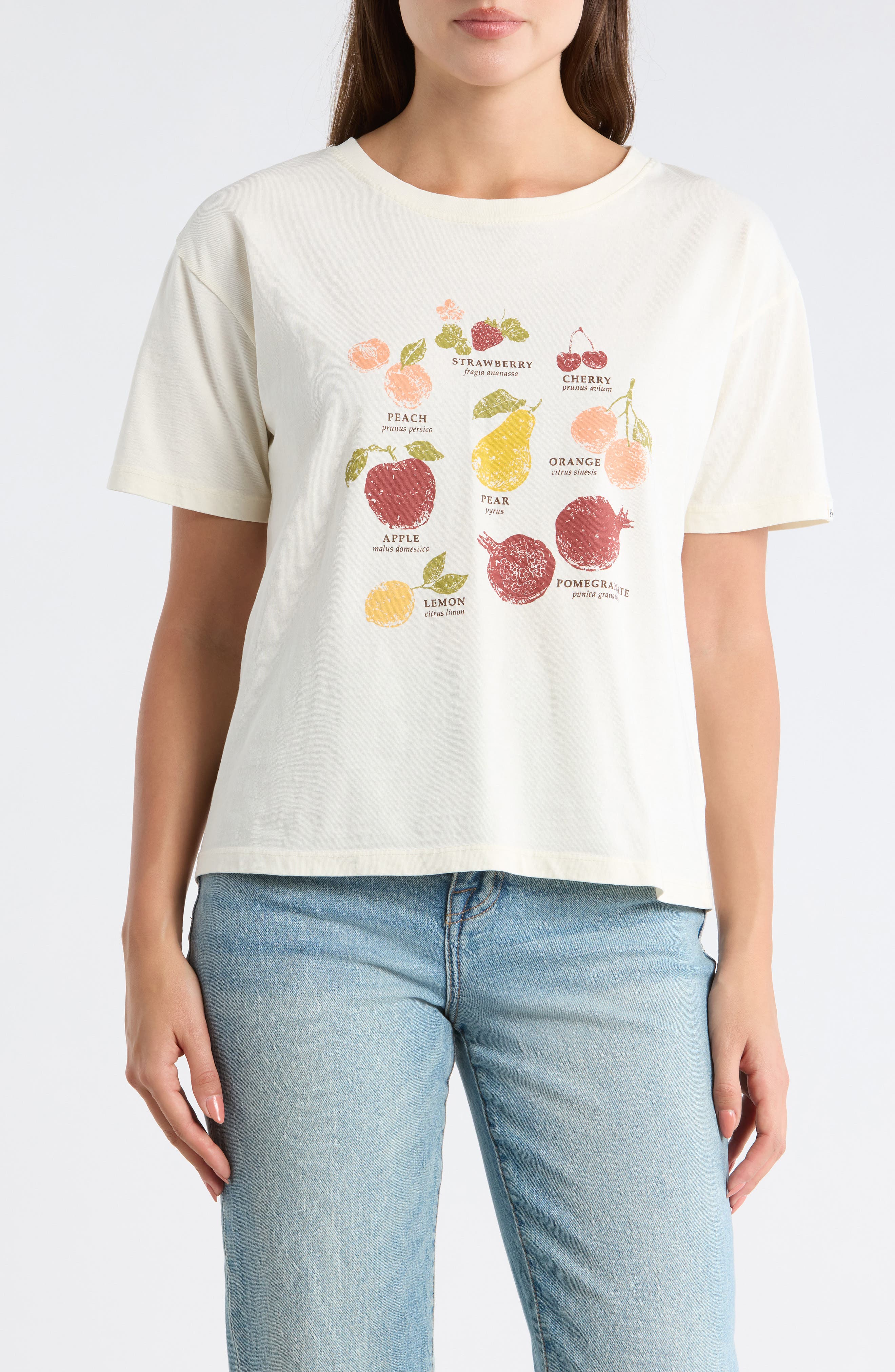 C & C California Toni Boxy Cotton Crop Tee