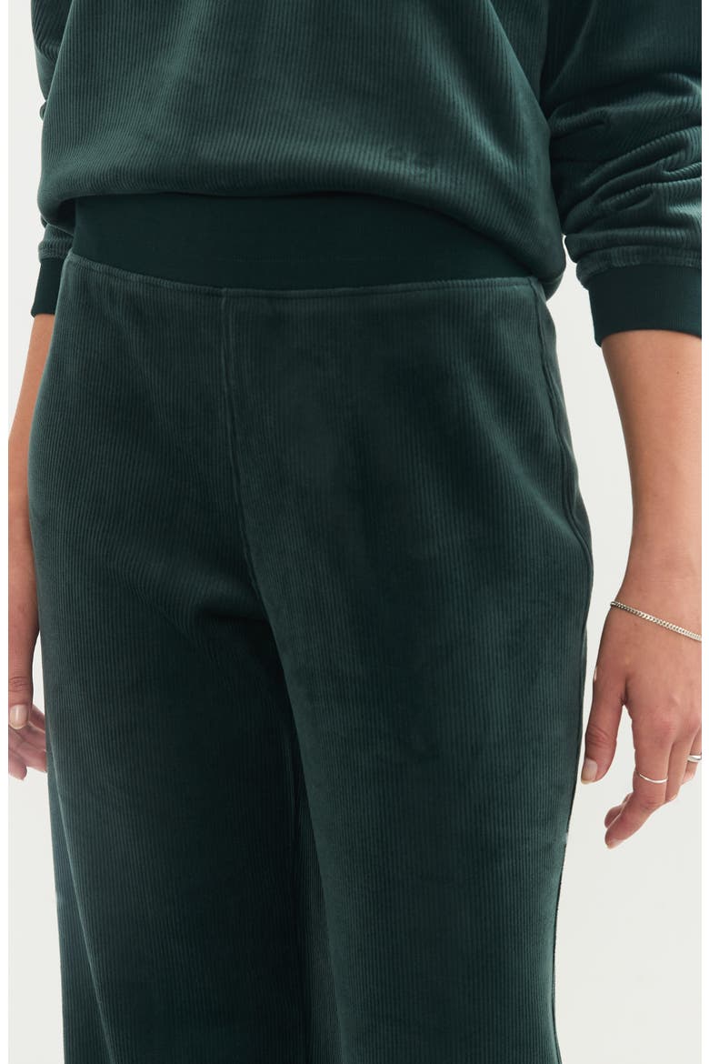 Cord Velour Flare Pants, Alternate, color, GREEN