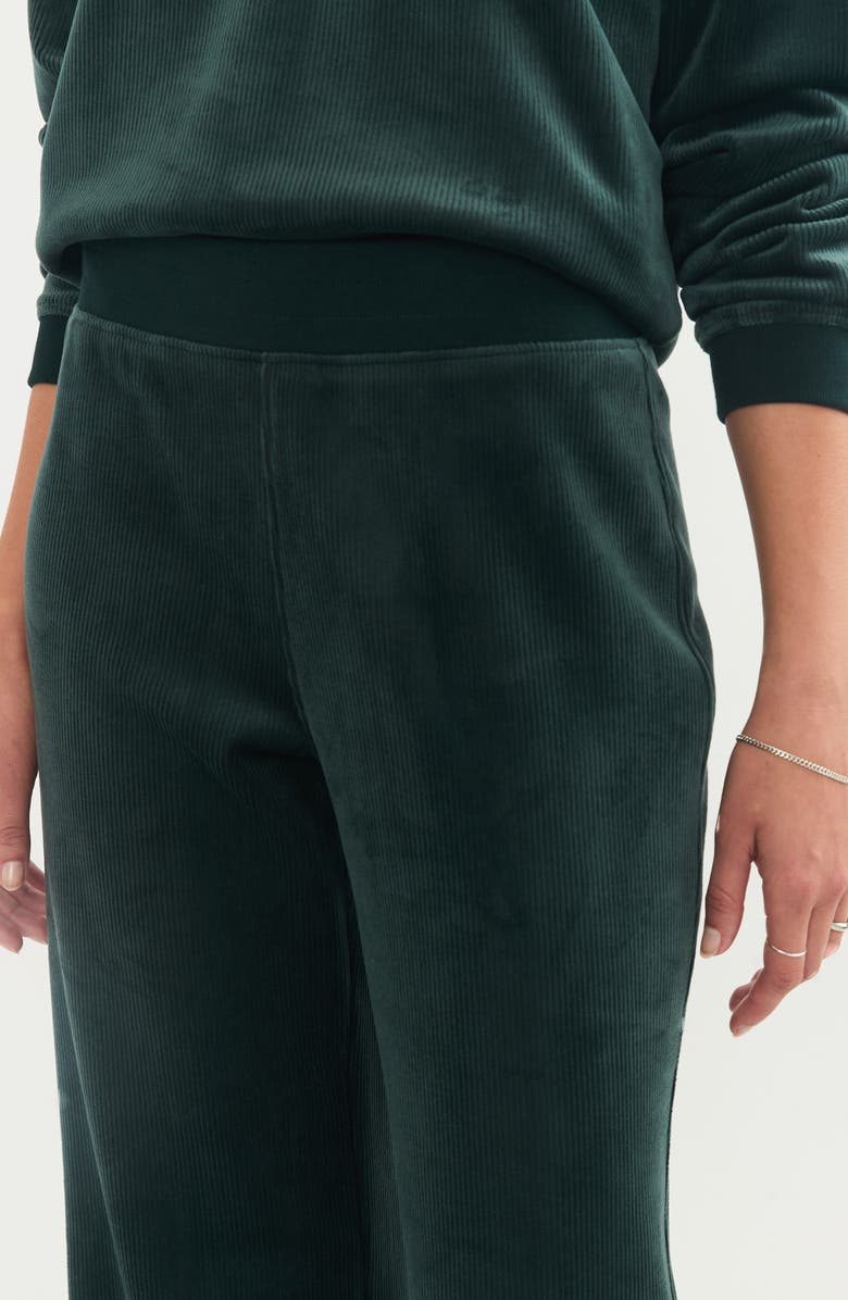 Marine Layer Cord Velour Flare Pants, Alternate, color, 