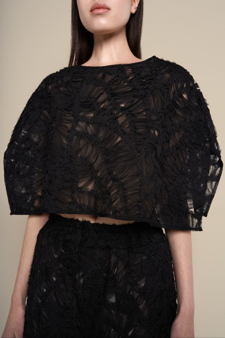 Fleur Sheer Abstract Lace Scoop-Neck Shawl, Alternate, color, Black