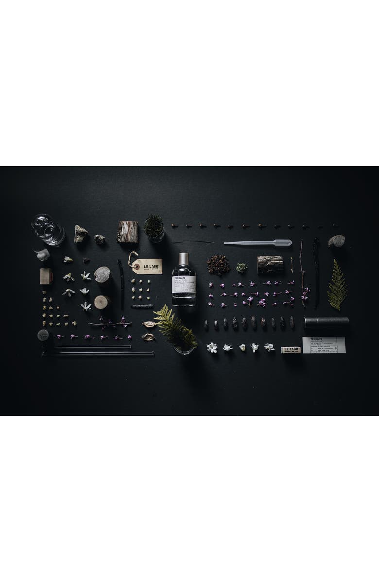 Le Labo Tonka 25 Eau de Parfum Travel Tube Refill Trio, Alternate, color,