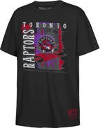 Mitchell & Ness Youth Mitchell & Ness Black Toronto Raptors Retro '90s Poster T-Shirt