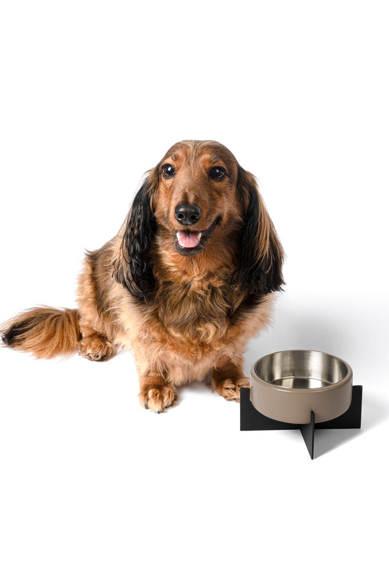 Intersecta Concrete and Stainless Steel Bowl with Metal Stand Pet Feeder, Main, color, Brown/Black