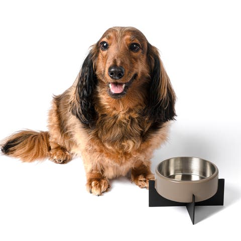 Intersecta Small/Medium Concrete and Stainless Steel Bowl 16oz (2 Cups) with Metal Stand Pet Feeder