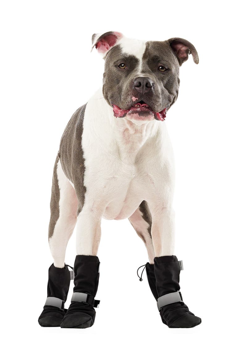 Set of 4 Soft Shield Paw Boots, Main, color, BLACK