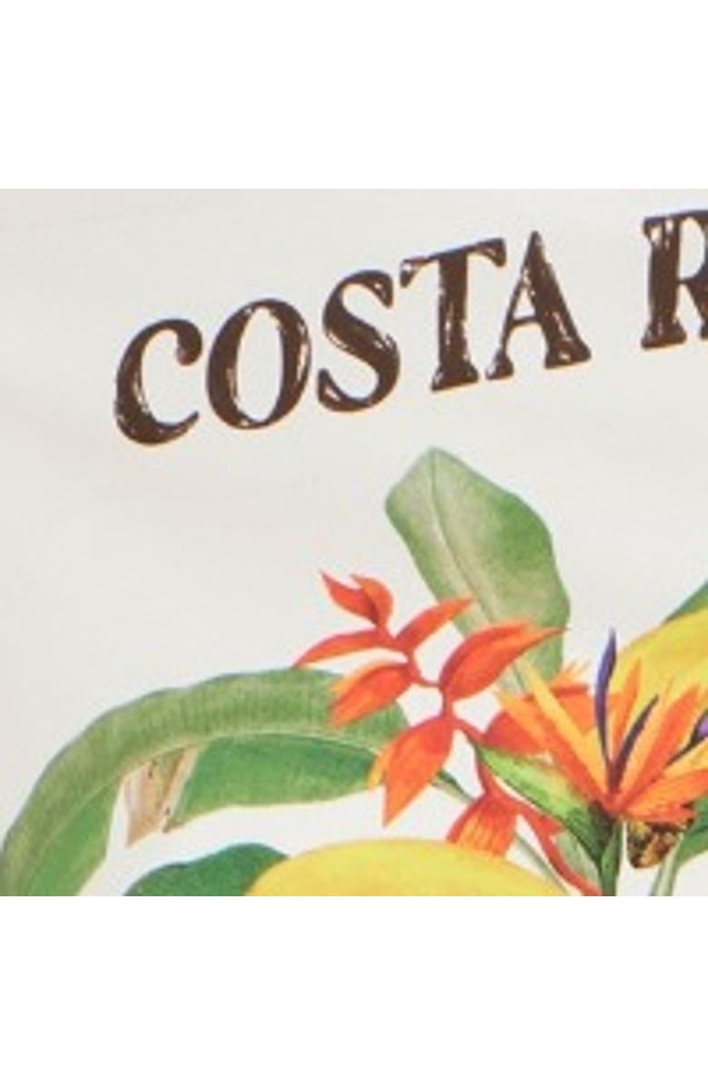 Yumi Costa Rica Cotton T Shirt, Alternate, color, White