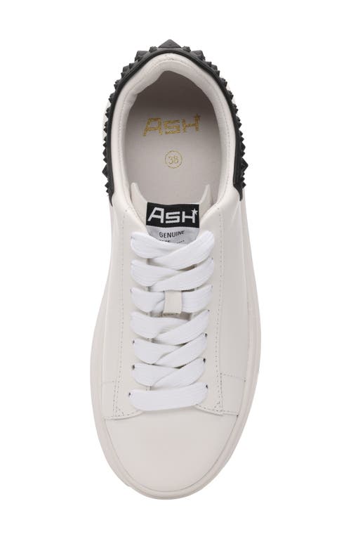 Ash Moby White And Black Sneaker In White/black
