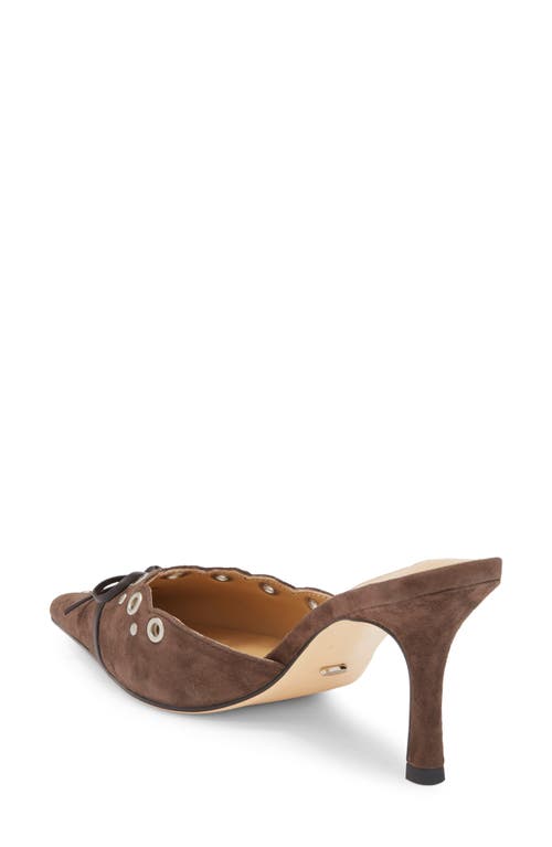 Tony Bianco Shae Pointed Toe Mule In Brown