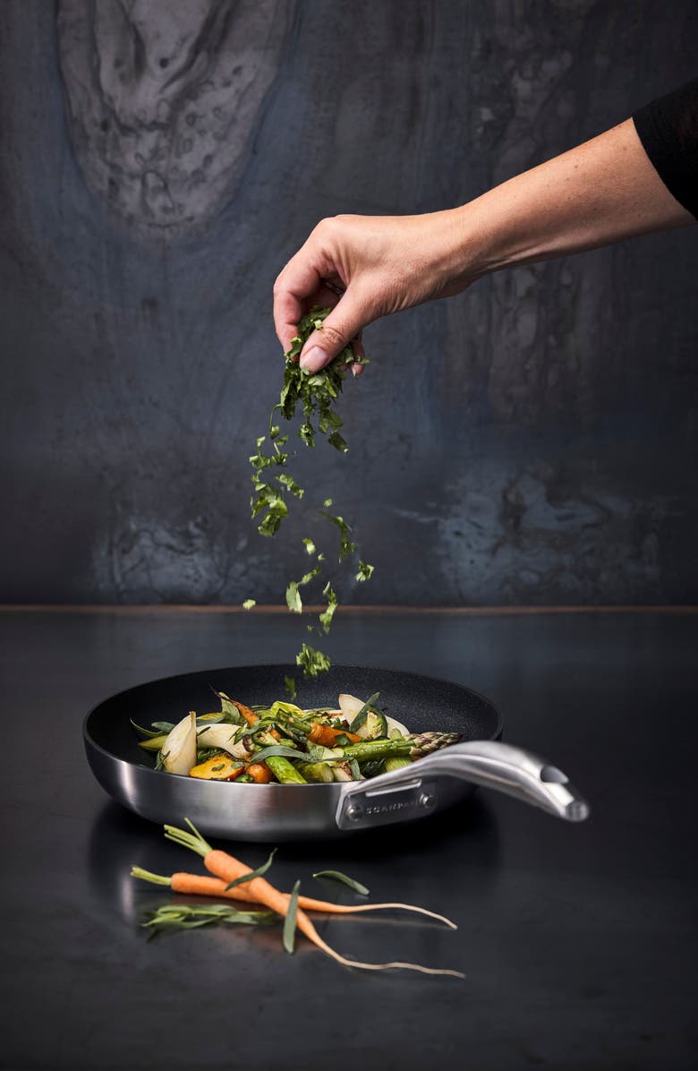 Scanpan CS+ 12.5-Inch Nonstick Fry Pan, Alternate, color, Silver