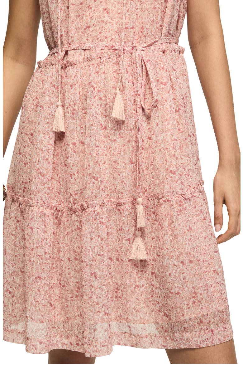 Floral Embroidery Minidress, Alternate, color, BLUSH FLORAL