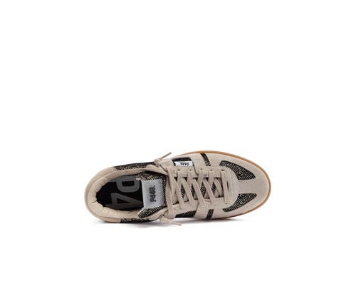 P448 Monza75 In Multi