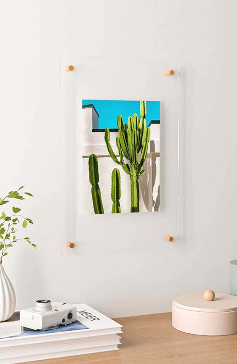 Deny Designs South Pasadena Cactus Floating Art Print, Alternate, color, 