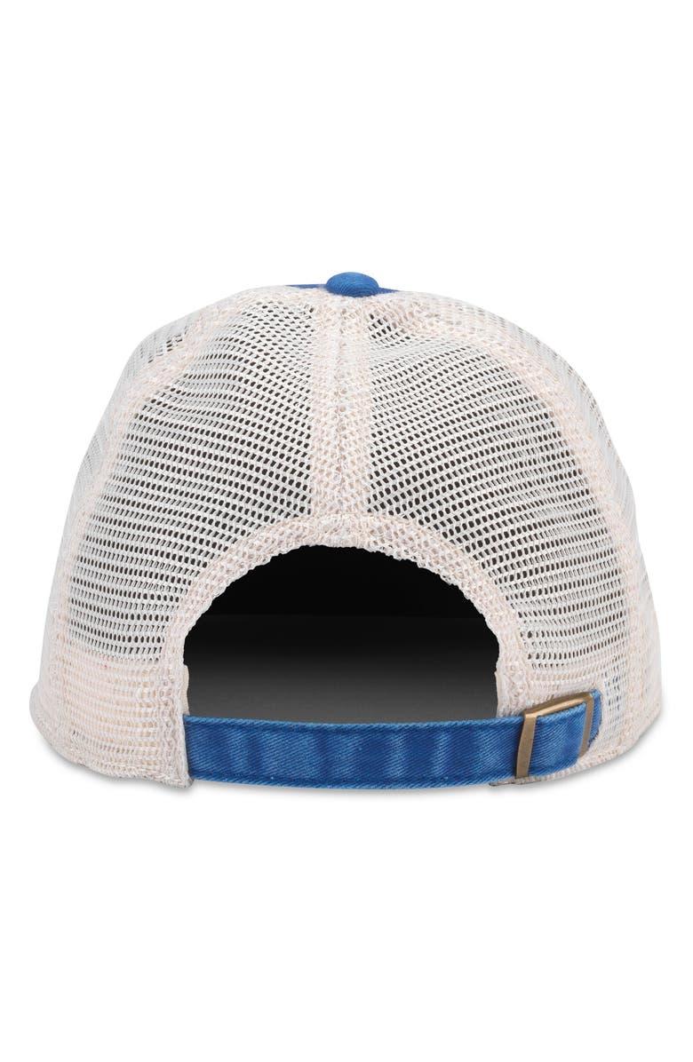 American Needle Windale Pickleball Trucker Hat, Alternate, color,